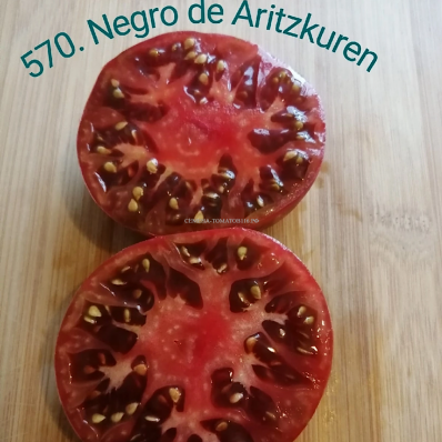 570. Negro de Aritzcuren