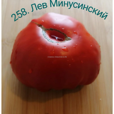 258. Лев Минусинский