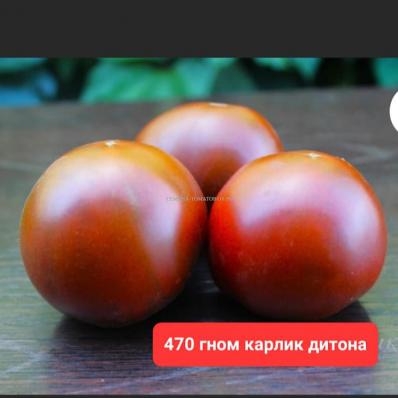 470. Гном Карлик Дитона