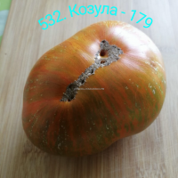 532. Козула 179