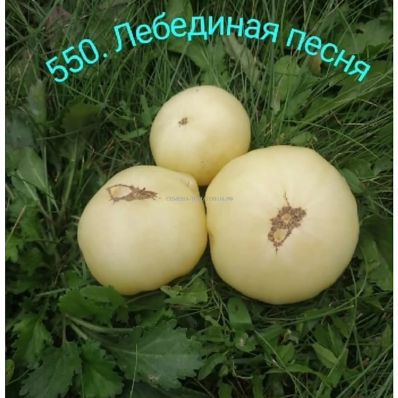 550. Лебединая песня