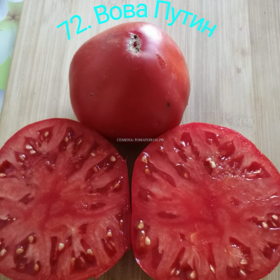 72. Вова Путин