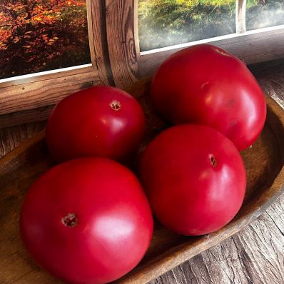 1164. Сердце Уолта Сволки