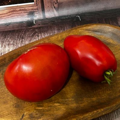 1151. Зелёный куст Италии