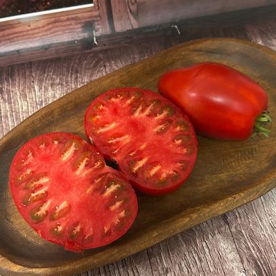 1151. Зелёный куст Италии